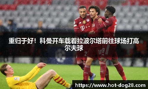 狗子28官方网站